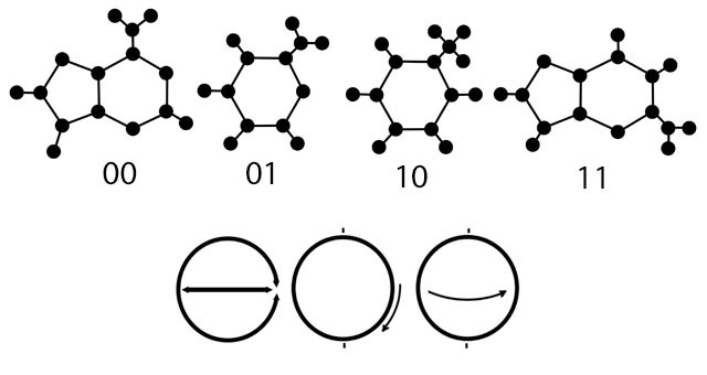The puzzle image: C5H5N5 = 00, C4H5N3O = 01, C5H6N2O2 = 10, C5H5N5O = 11.